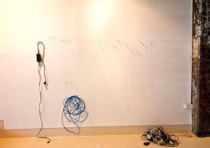 A reconstruction of Aunty Leanne' collection of pronged things as at Tuesday 18 September 2012 2013 nails, pencil, electric cords, fork