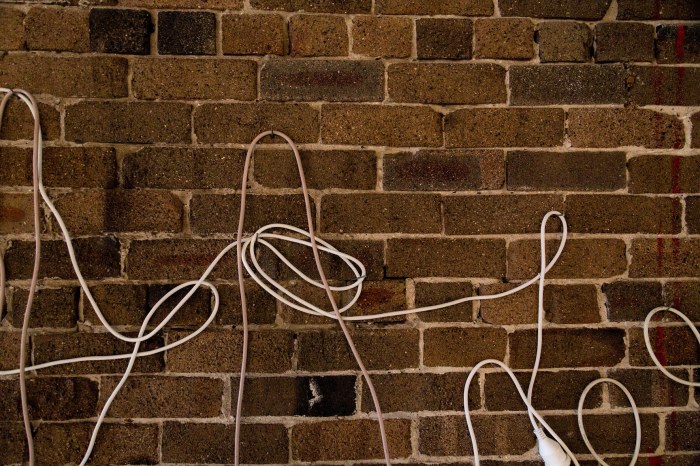 idaarticulate_feb162013_22