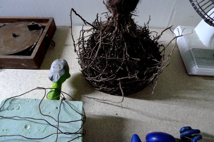 Adriano Rosselli and Ida Lawrence - DIG 2113 Image 24