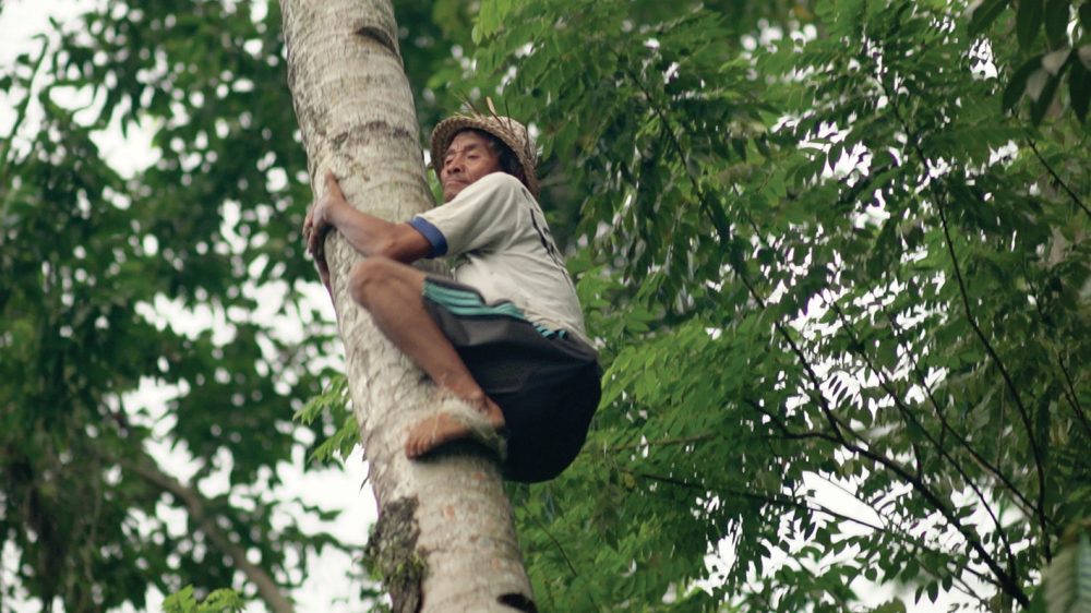 01leyla-stevens-wong-samar-2016-hd-digital-video-stereo-sound-5-17minutes-e1489469814394