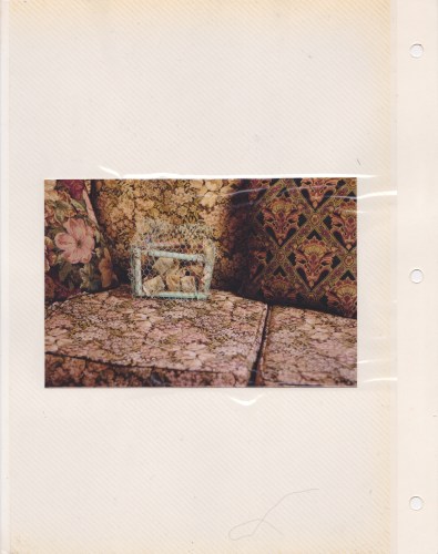 Ida Lawrence, Visitor Entertainers - Caffeine Cage 2015