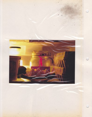 Ida Lawrence - Visitor Entertainers10 2015