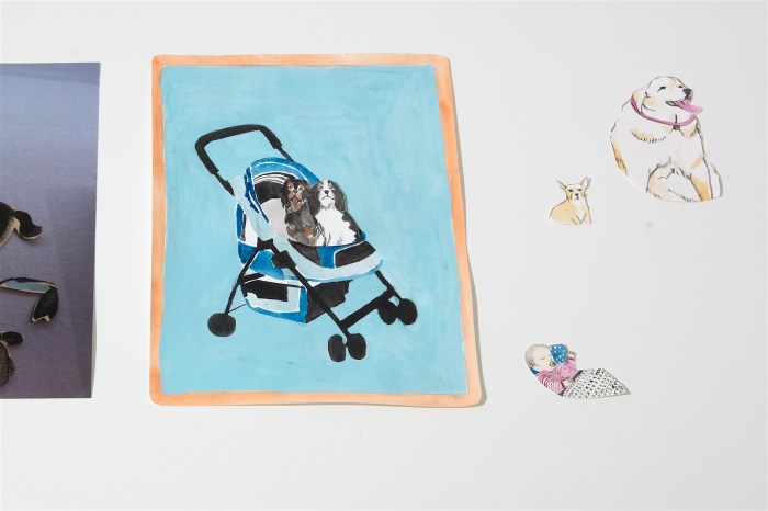 Ida Lawrence - Chnage a Rider 2015 DSCF2897_