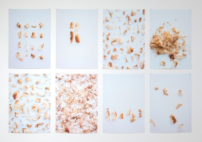 Dancing Fish Flakes / 踊るカツオ節 2015 8 pigment prints, 33 x 48 cm
