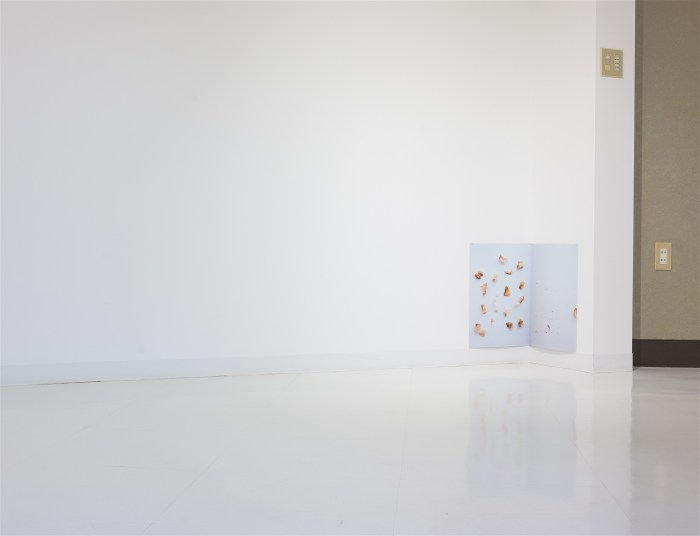 Dancing Fish Flakes (Disappointing Encore) /踊るカツオ節(がっかりアンコール) 2015 pigment prints, 48 x 33 cm