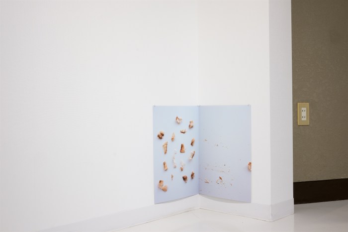 Ida Lawrence - Dancing Fish Flakes 2015 DSCF2917_