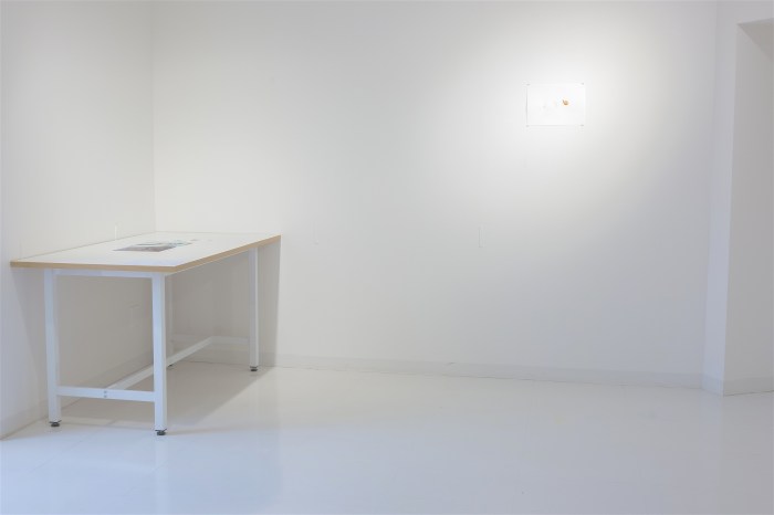 Ida Lawrence - Dancing Fish Flakes Installation 2015 DSCF2886_