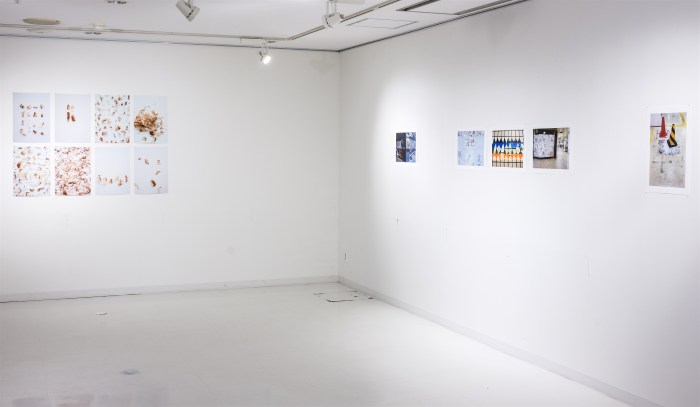 Ida Lawrence - Dancing Fish Flakes Installation 2015 DSCF2912_