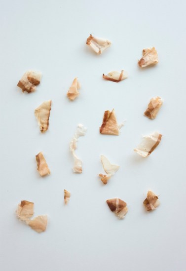 Ida Lawrence - Dancing Fish Flakes (Disappointing Encore) 2015, detail