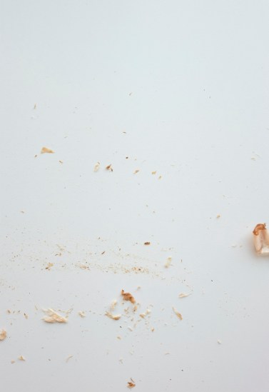 Ida Lawrence - Dancing Fish Flakes (Disappointing Encore) 2015, detail