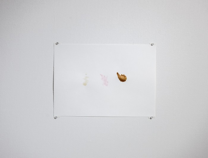 Feelings (Matcha, Picked Ginger, Soy Sauce ) / 感情(抹茶,紅しょうが,醤油) 2015 stains on watercolour paper, 21 x 30 cm