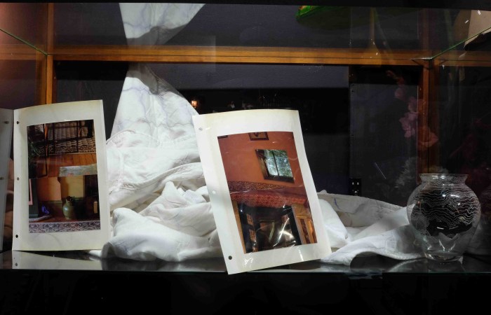 Visitor Entertainers (unique photo album pages) 