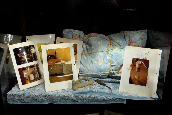 Travel Pillow (pillow case, pillow, acrylic, raffia, head-sized), Remains (bristled clay object), Still Good (screwdriver), Visitor Entertainers (unique photo album pages)