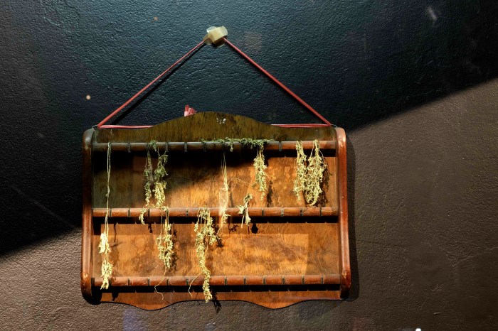 De-Crisper, wooden display board, vegetables