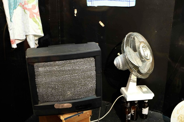 Whatchamacallit (television and band-aid, modest-size)