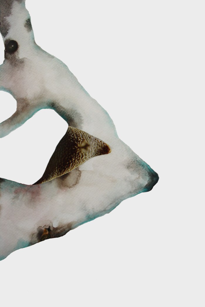 Sofiyah Ruqayah, whatever makes you cold freezes me, 2018 (detail 1), watercolour and collage on paper, 233x108cm, two panels.jpg