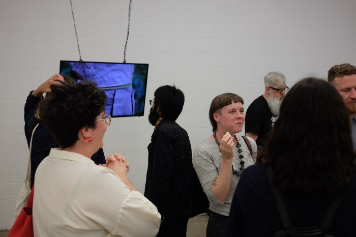 Leyla Stevens, video, BEAUT opening.JPG