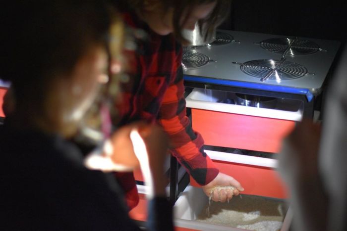 Sound of Shadows 2019 - Artplay16.jpg