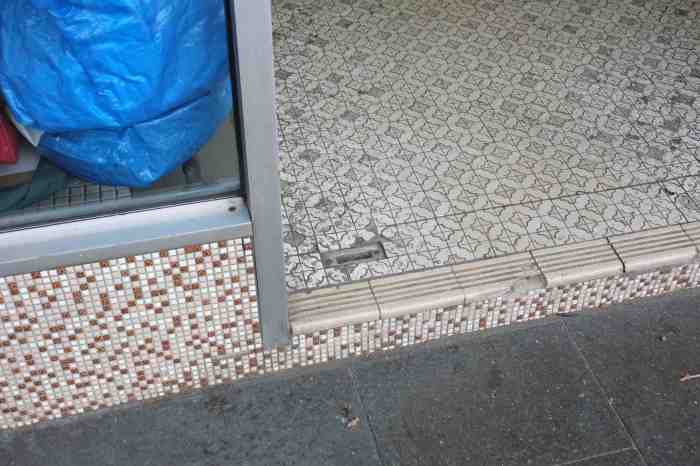 Ida Lawrence - Glebe Streetscape photo 14