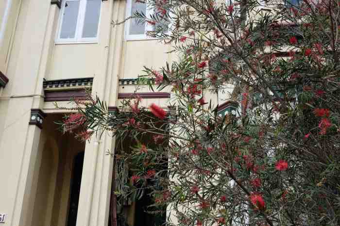Ida Lawrence - Glebe Streetscape photo 19