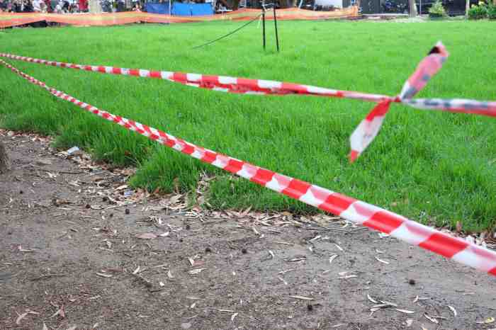 Ida Lawrence - Glebe Streetscape photo 2