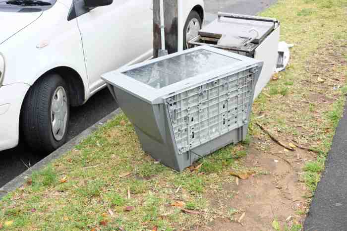 Ida Lawrence - Glebe Streetscape photo 21