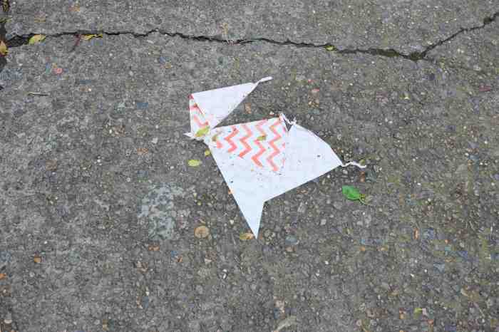 Ida Lawrence - Glebe Streetscape photo 22