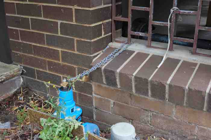 Ida Lawrence - Glebe Streetscape photo 24