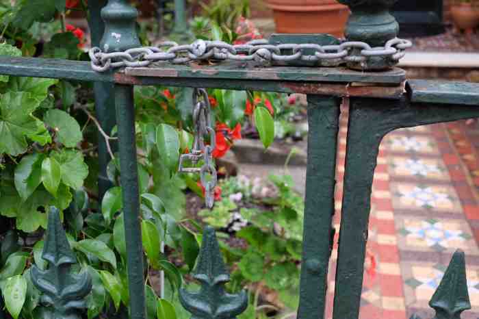 Ida Lawrence - Glebe Streetscape photo 25