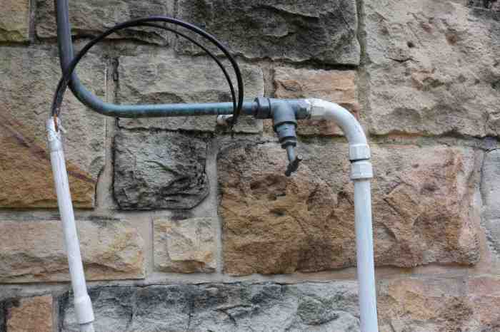 Ida Lawrence - Glebe Streetscape photo 26