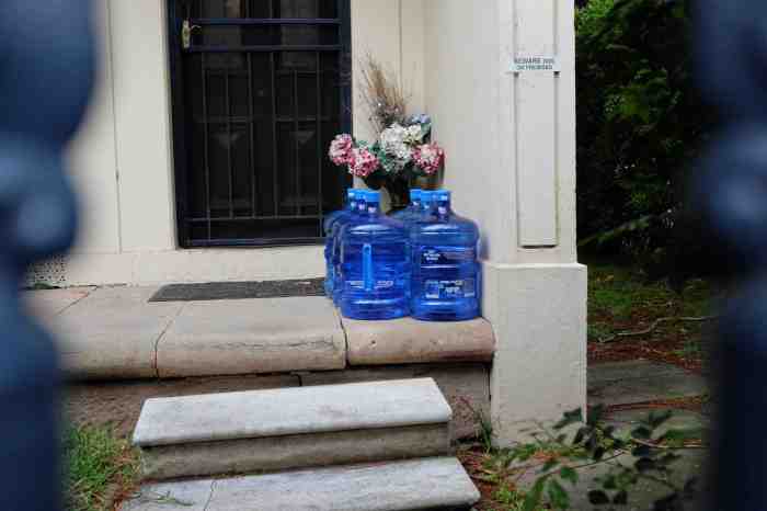 Ida Lawrence - Glebe Streetscape photo 33