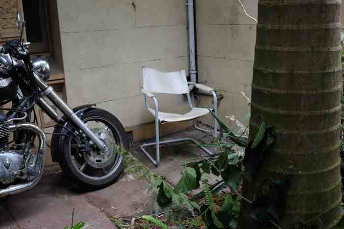 Ida Lawrence - Glebe Streetscape photo 4