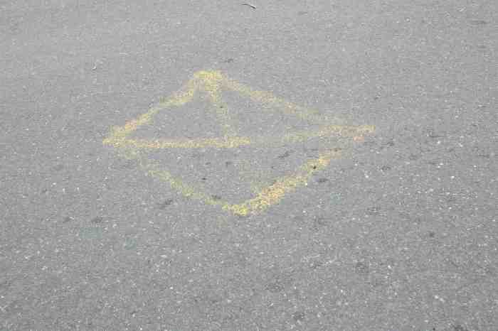 Ida Lawrence - Glebe Streetscape photo 6