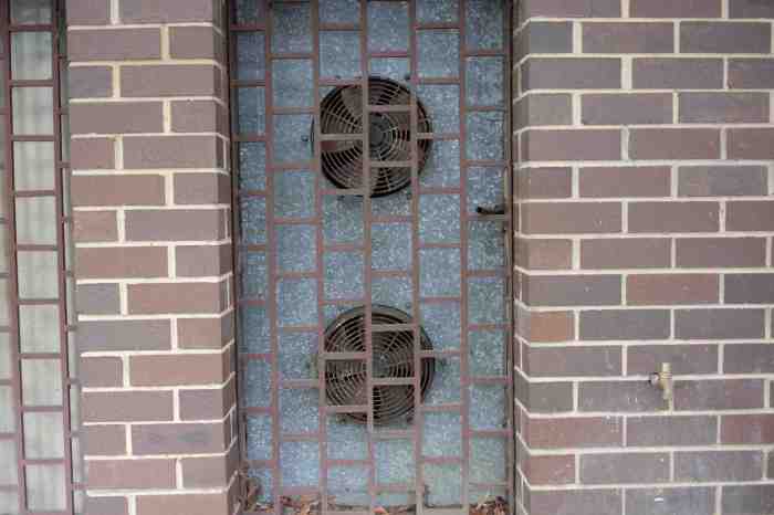 Ida Lawrence - Glebe Streetscape photo 7