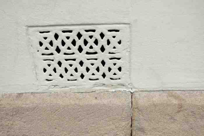 Ida Lawrence - Glebe Streetscape photo 8